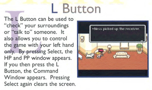The L Button settings found under the Controller Functions heading in the Strategy Guide.