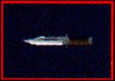 Combat Knife
