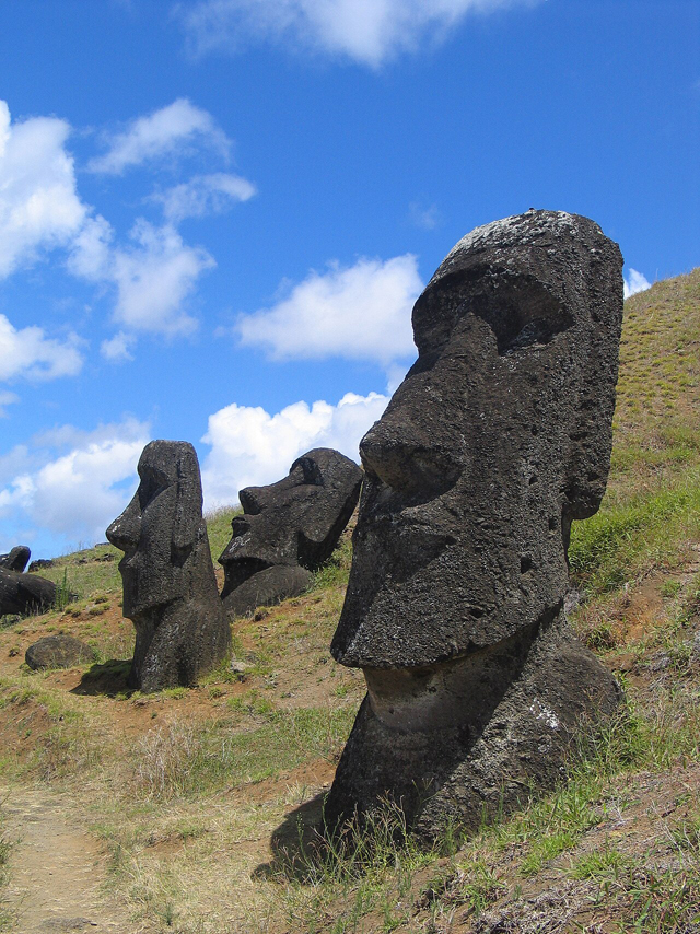 A group of Moai head statues on Easter Island.